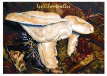tableau champignons chanterelles